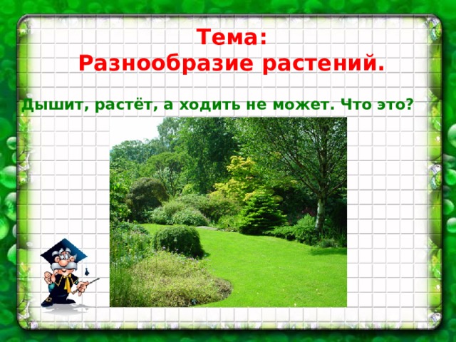 Тема: Разнообразие растений. Дышит, растёт, а ходить не может. Что это? 