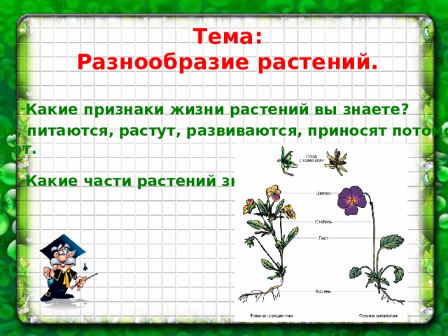 Тема: Разнообразие растений. Какие признаки жизни растений вы знаете?    Какие части растений знаете? Дышат, питаются, растут, развиваются, приносят потомство, умирают. 