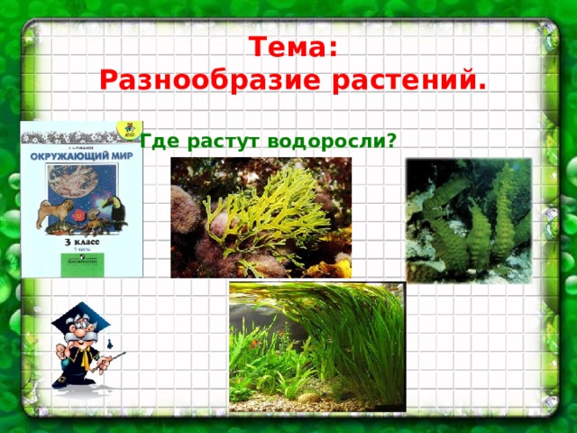 Тема: Разнообразие растений.  Где растут водоросли? 