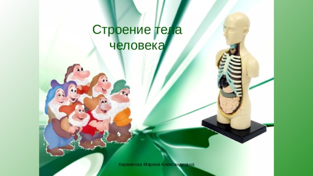 Строение тела человека Карманова Марина Александровна 