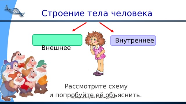  Строение тела человека  Внешнее Внутреннее  Рассмотрите схему и попробуйте её объяснить. Карманова Марина Александровна 