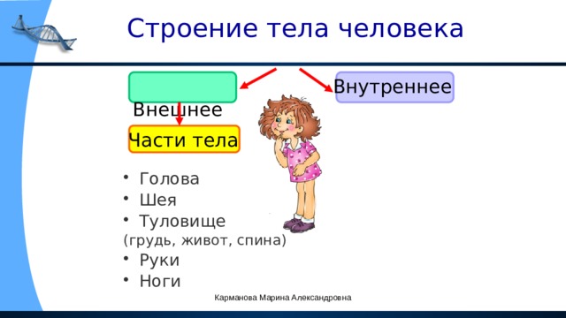  Строение тела человека  Внешнее Внутреннее Части тела Голова Шея Туловище (грудь, живот, спина) Руки Ноги Карманова Марина Александровна 