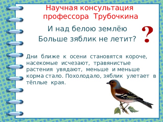 Научная консультация профессора Трубочкина И над белою землёю Больше зяблик не летит? Дни ближе к осени становятся короче, насекомые исчезают, травянистые растения увядают, меньше и меньше корма стало. Похолодало, зяблик улетает в тёплые края. 