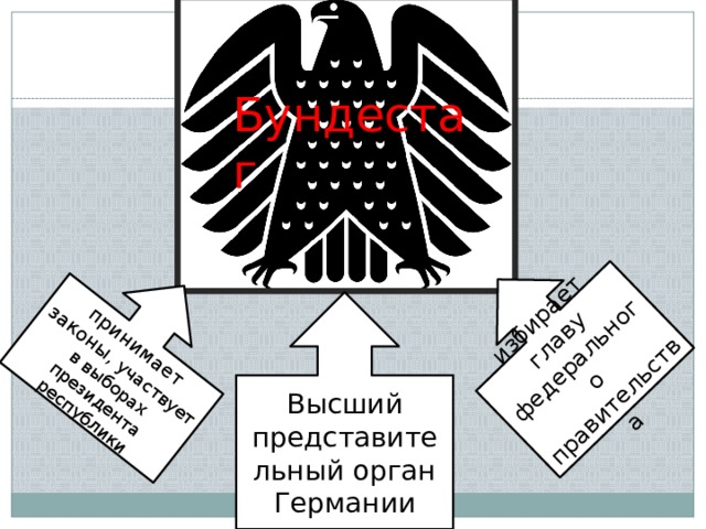принимает законы,  участвует в выборах президента республики избирает главу федерального правительства Бундестаг Высший представительный орган Германии 