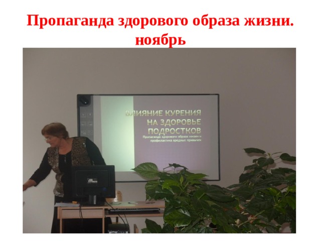 Пропаганда здорового образа жизни. ноябрь 