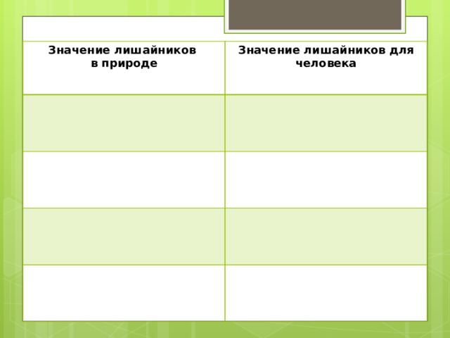 Значение лишайников в природе Значение лишайников для человека 