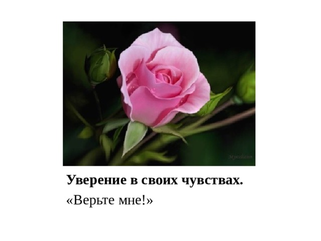 Уверение в своих чувствах. «Верьте мне!» 