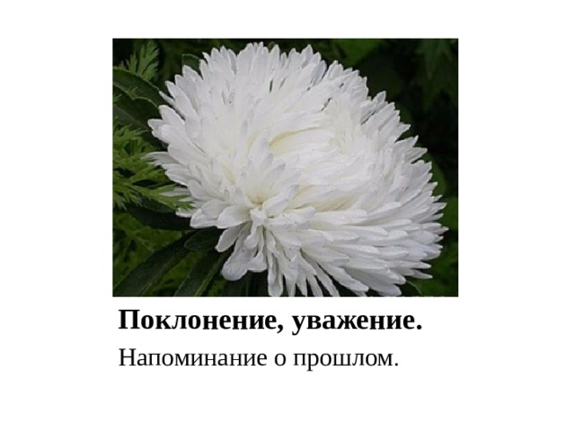 Поклонение, уважение. Напоминание о прошлом . 