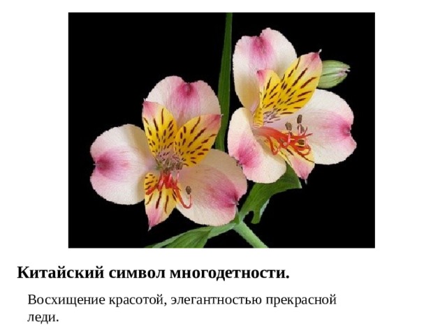 Китайский символ многодетности. Восхищение красотой, элегантностью прекрасной леди. 