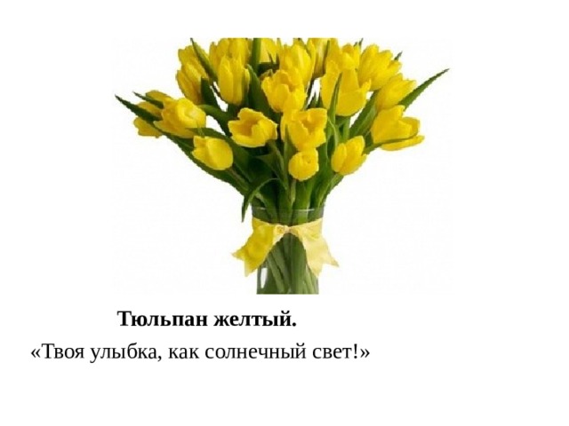 Тюльпан желтый. «Твоя улыбка, как солнечный свет!» 