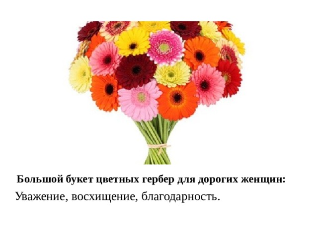 Большой букет цветных гербер для дорогих женщин: Уважение, восхищение, благодарность. 