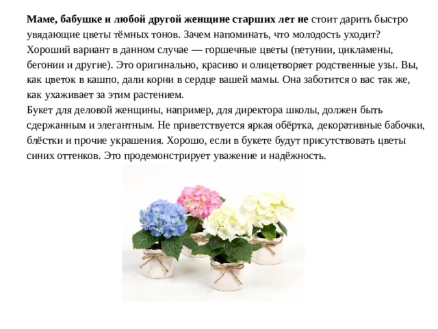 Маме, бабушке и любой другой женщине старших лет не стоит дарить быстро увядающие цветы тёмных тонов. Зачем напоминать, что молодость уходит? Хороший вариант в данном случае — горшечные цветы (петунии, цикламены, бегонии и другие). Это оригинально, красиво и олицетворяет родственные узы. Вы, как цветок в кашпо, дали корни в сердце вашей мамы. Она заботится о вас так же, как ухаживает за этим растением. Букет для деловой женщины, например, для директора школы, должен быть сдержанным и элегантным. Не приветствуется яркая обёртка, декоративные бабочки, блёстки и прочие украшения. Хорошо, если в букете будут присутствовать цветы синих оттенков. Это продемонстрирует уважение и надёжность.   