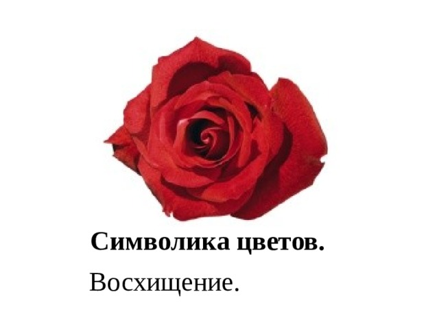 Символика цветов. Восхищение. 