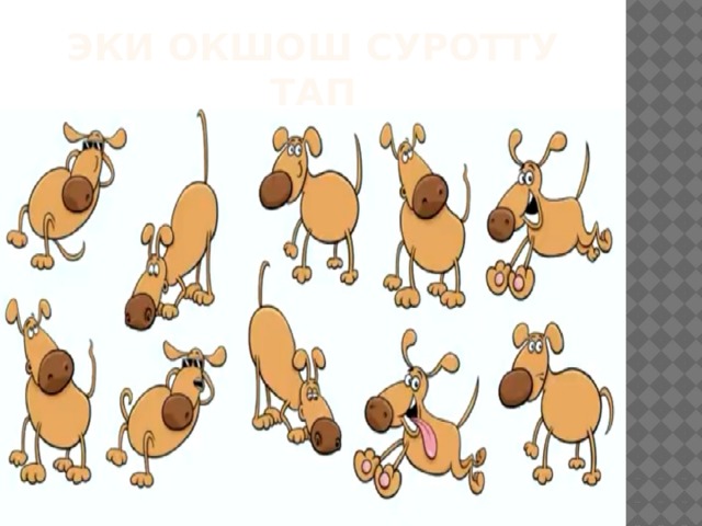 Эки окшош суротту тап 