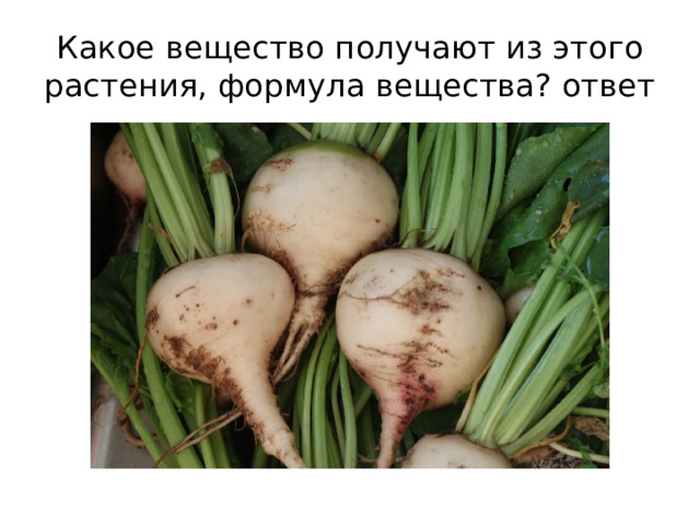 Какое вещество получают из этого растения, формула вещества? ответ 