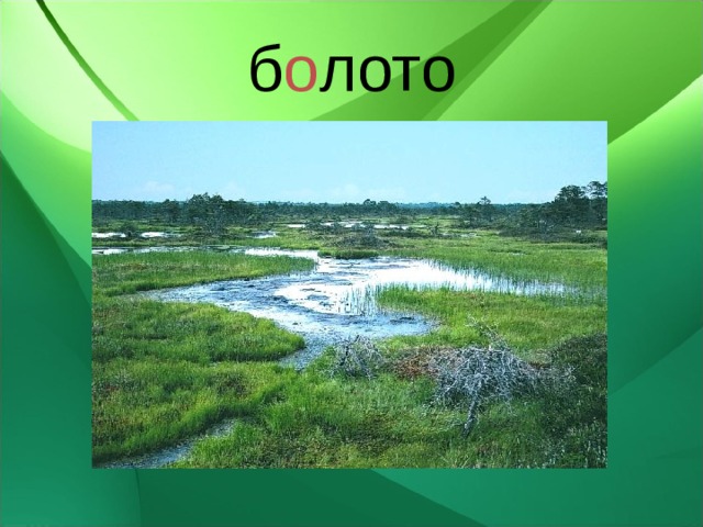 б о лото 