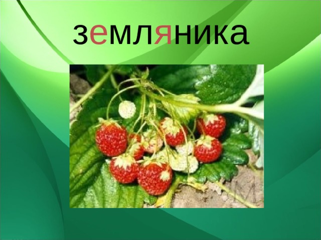 з е мл я ника 