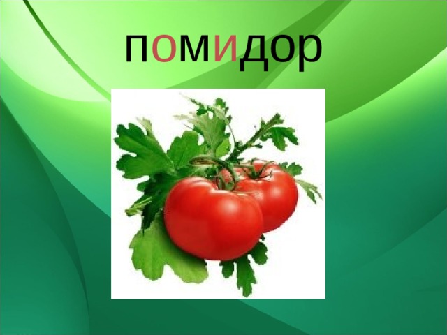п о м и дор 