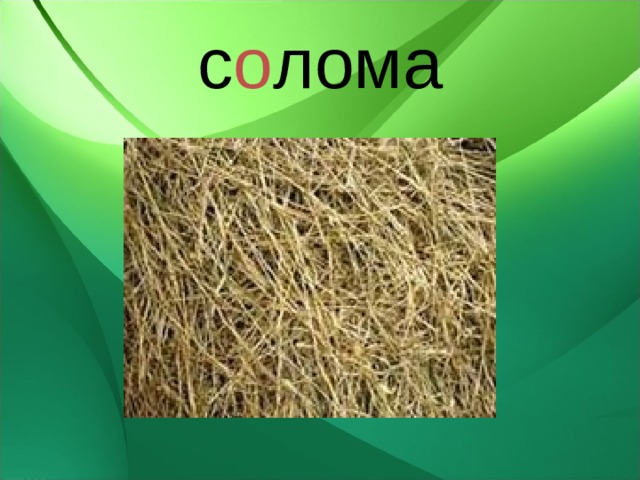 с о лома 