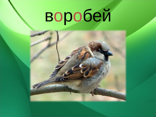 в о р о бей 