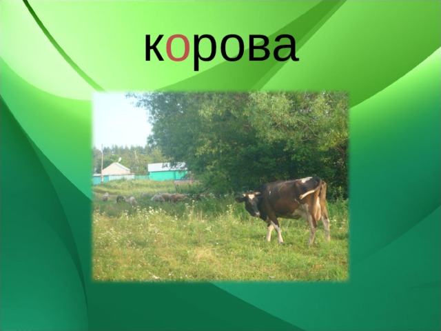к о рова 