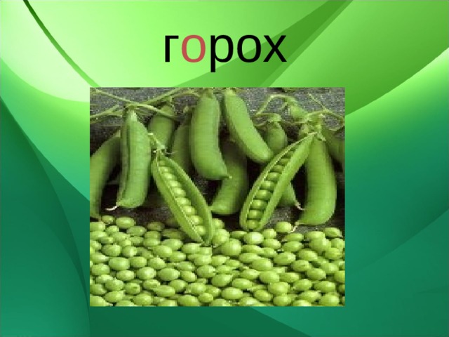 г о рох 