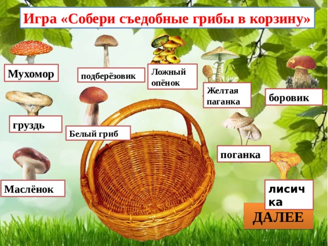 Игра «Собери съедобные грибы в корзину» Ложный опёнок Мухомор подберёзовик Желтая паганка боровик груздь Белый гриб поганка лисичка Маслёнок ДАЛЕЕ 