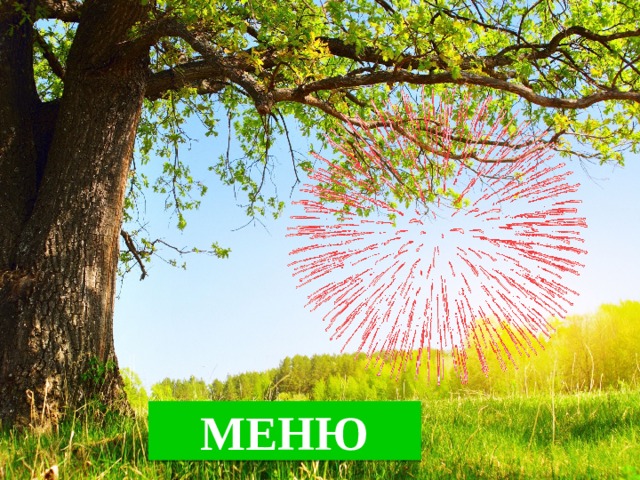 МЕНЮ 