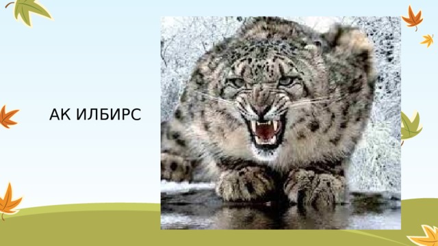 АК ИЛБИРС 