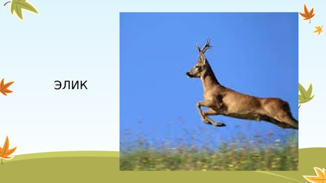 ЭЛИК 