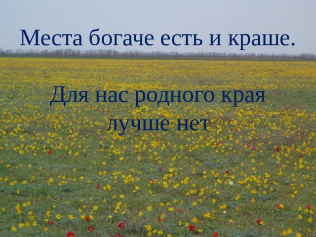Места богаче есть и краше.  Для нас родного края лучше нет 