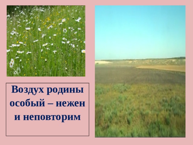 Воздух родины особый – нежен и неповторим 