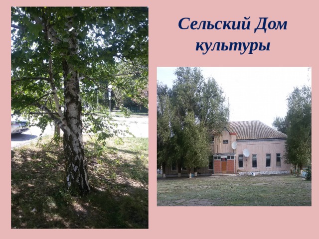 Сельский Дом культуры  