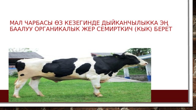 мал чарбасы өз кезегинде дыйканчылыкка эң баалуу органикалык жер семирткич (кык) берет 