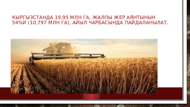 Кыргызстанда 19,95 млн га, жалпы жер аянтынын 54%и (10,797 млн га), айыл чарбасында пайдаланылат. 