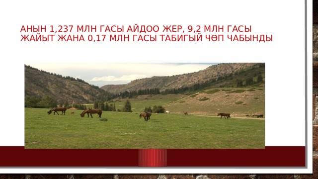 Анын 1,237 млн гасы айдоо жер, 9,2 млн гасы жайыт жана 0,17 млн гасы табигый чөп чабынды 