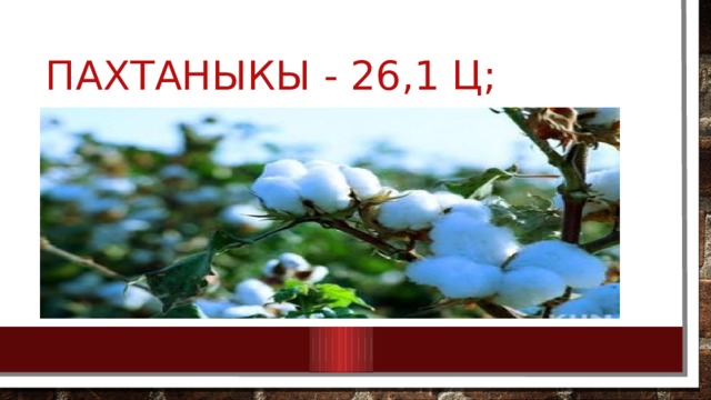пахтаныкы - 26,1 ц; 