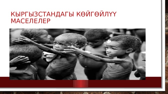 Кыргызстандагы көйгөйлүү маселелер 