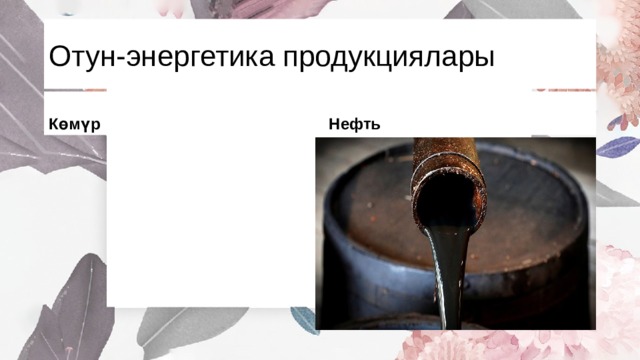 Отун-энергетика продукциялары Көмүр Нефть 