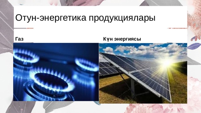 Отун-энергетика продукциялары Газ Күн энергиясы 