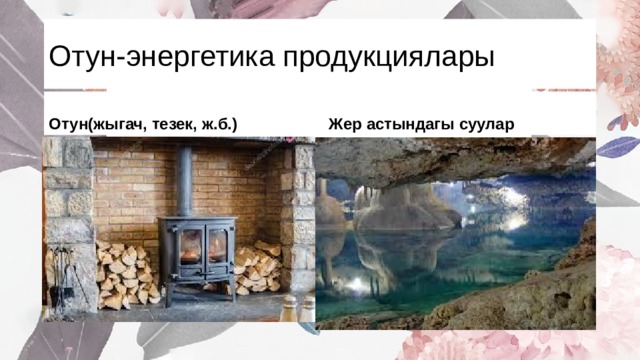 Отун-энергетика продукциялары Отун(жыгач, тезек, ж.б.) Жер астындагы суулар 
