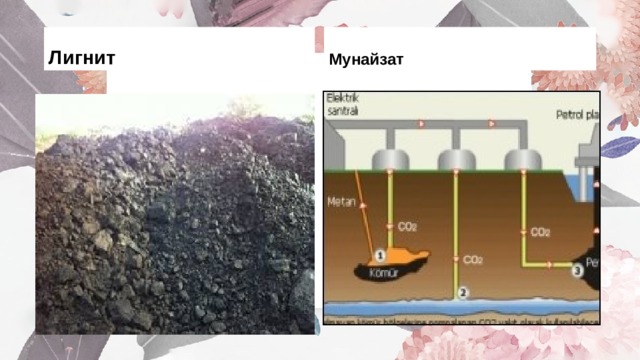 Лигнит Мунайзат 