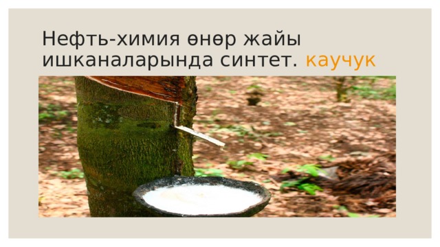 Нефть-химия өнөр жайы ишканаларында синтет.  каучук 