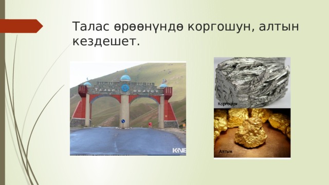 Талас өрөөнүндө коргошун, алтын кездешет. 