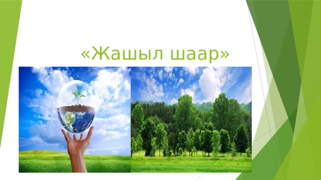 «Жашыл шаар» 