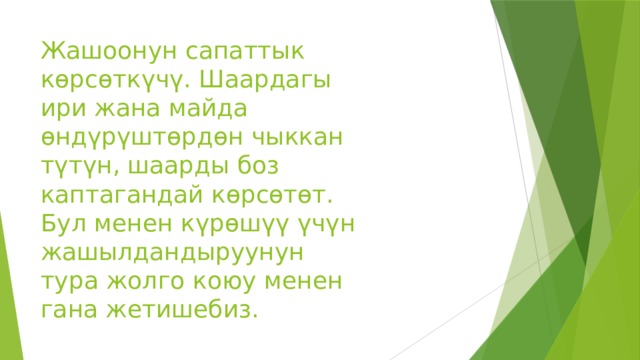 Жашоонун сапаттык көрсөткүчү. Шаардагы ири жана майда өндүрүштөрдөн чыккан түтүн, шаарды боз каптагандай көрсөтөт. Бул менен күрөшүү үчүн жашылдандыруунун тура жолго коюу менен гана жетишебиз. 