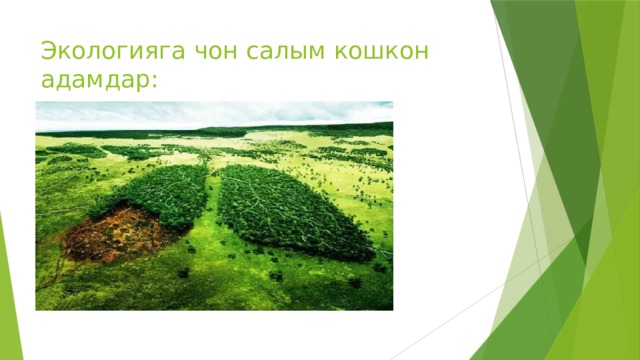 Экологияга чон салым кошкон адамдар: 