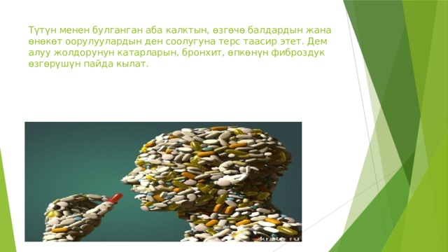 Түтүн менен булганган аба калктын, өзгөчө балдардын жана өнөкөт оорулуулардын ден соолугуна терс таасир этет. Дем алуу жолдорунун катарларын, бронхит, өпкөнүн фиброздук өзгөрүшүн пайда кылат. 