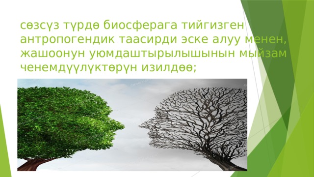 сөзсүз түрдө биосферага тийгизген антропогендик таасирди эске алуу менен, жашоонун уюмдаштырылышынын мыйзам ченемдүүлүктөрүн изилдөө; 