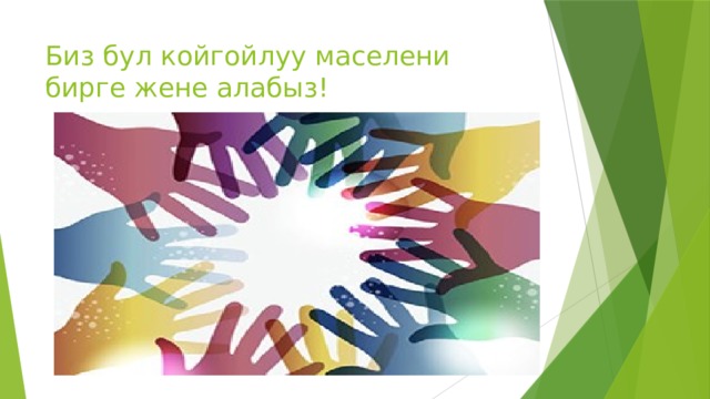 Биз бул койгойлуу маселени бирге жене алабыз! 